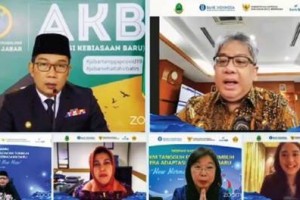seminar daring nasional (webinar)